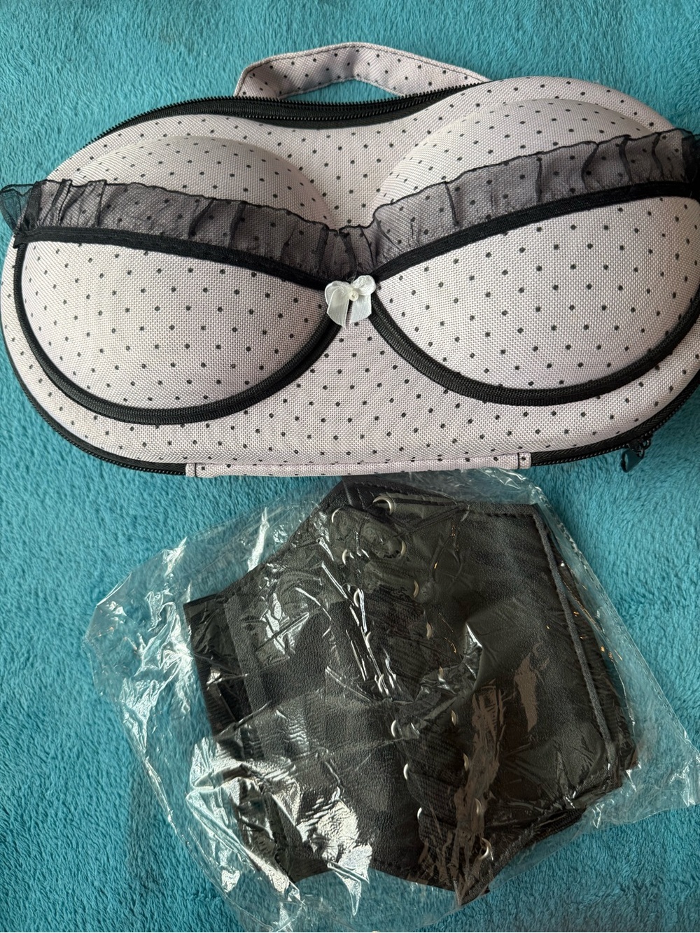 Bra Carrying Case and Corset Belt cd case